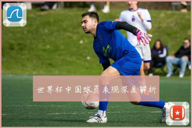 世界杯中国球员表现深度解析