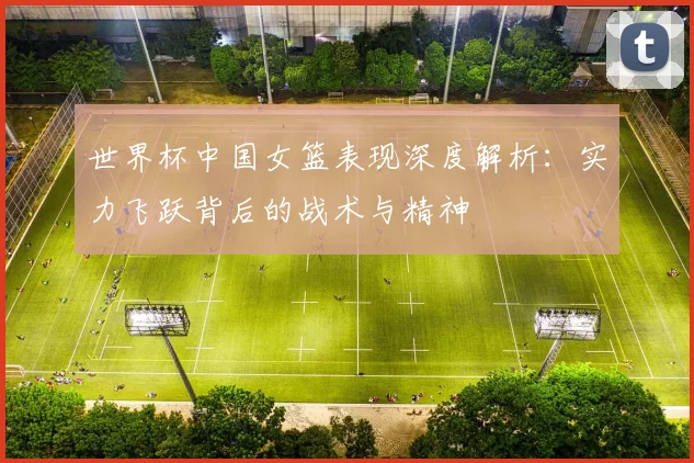 世界杯中国女篮表现深度解析：实力飞跃背后的战术与精神