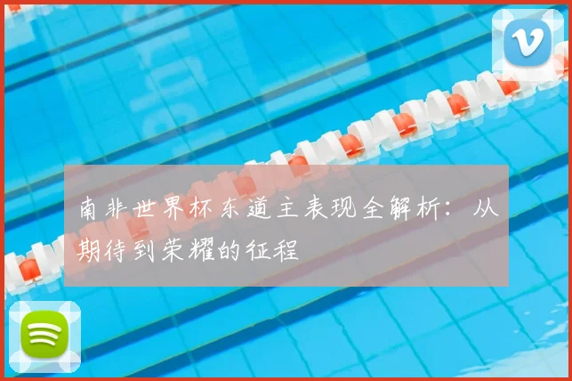 南非世界杯东道主表现全解析:从期待到荣耀的征程